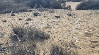 2023-GC--Mapalomas dunas-S123-088.jpg